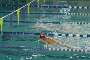 世界青少年游泳接力锦标赛中国队强势出击，世界游泳锦标赛接力决赛