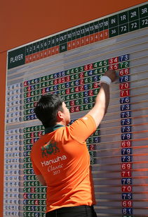 世界青少年搏击锦标赛中国群英尽展风采，青少年搏击公开赛