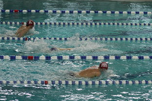 中国游泳运动员世锦赛接力项目表现抢眼，中国游泳接力夺金